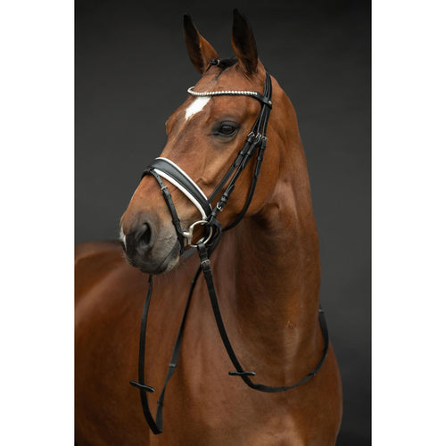Flora Bridle