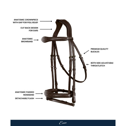 Perseus Hanoverian Bridle