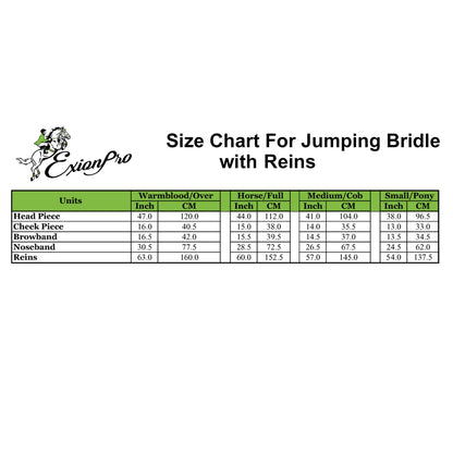 Fancy Stitch Padded Wave Hanoverian Noseband