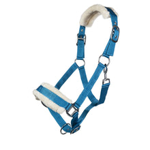 Load image into Gallery viewer, Turquoise Nylon Padded Halter