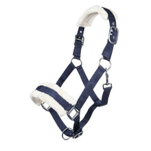 Load image into Gallery viewer, Deep Blue Nylon Padded Halter - Pony Size
