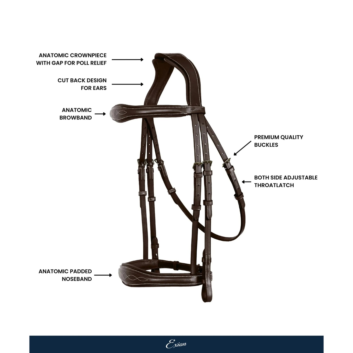 Perseus Cavesson Bridle
