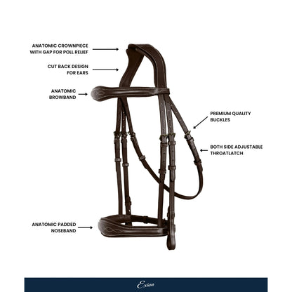 Perseus Cavesson Bridle