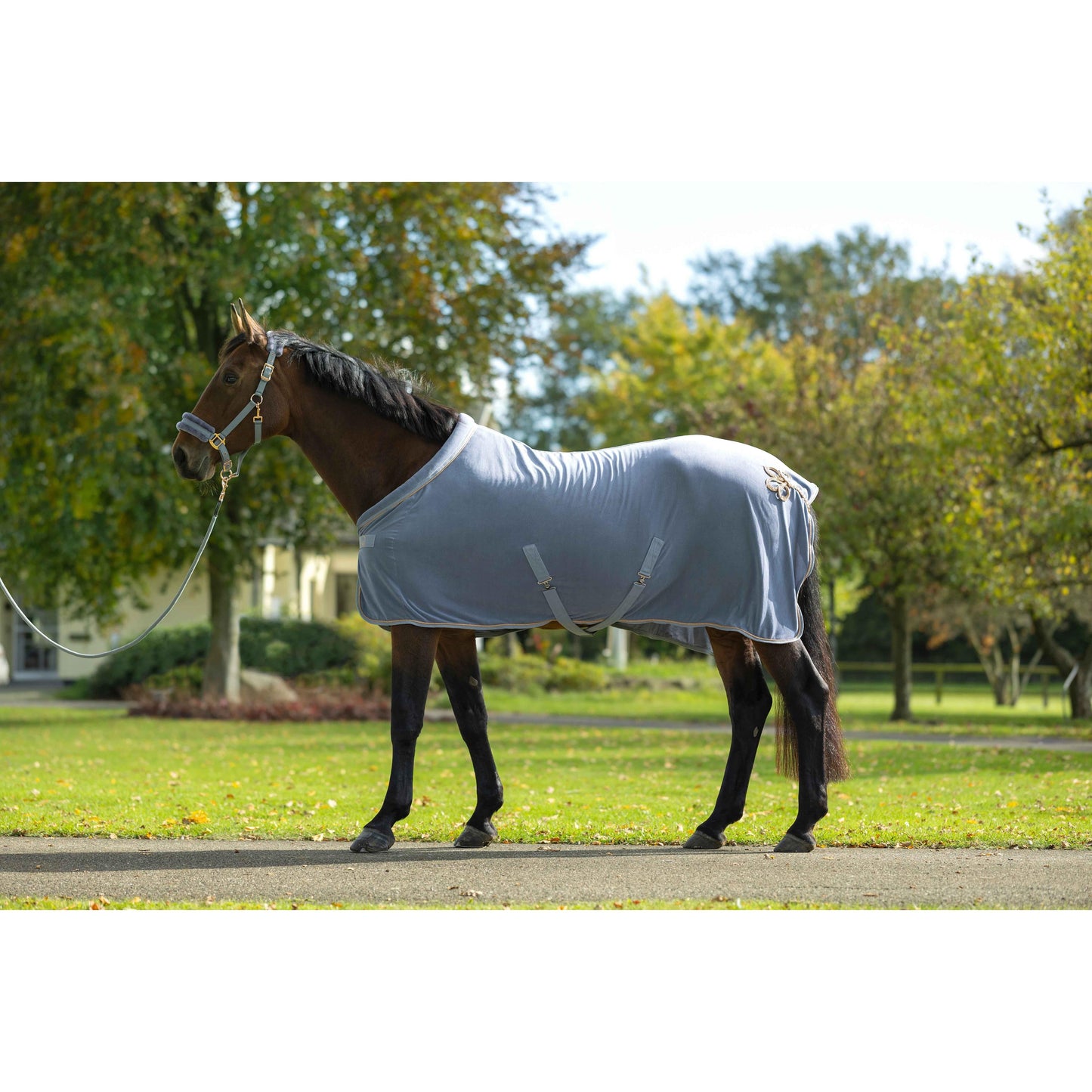 Rose Gold Glamour Cooler