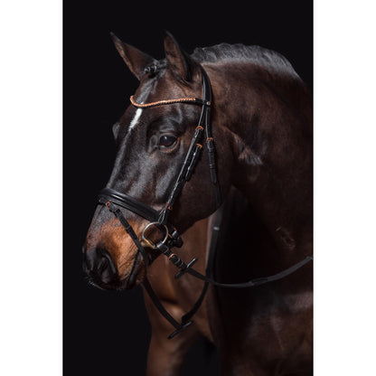 Rose Gold Glamour Bridle