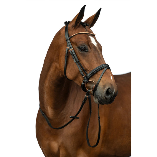 Rose Gold Glamour Bridle
