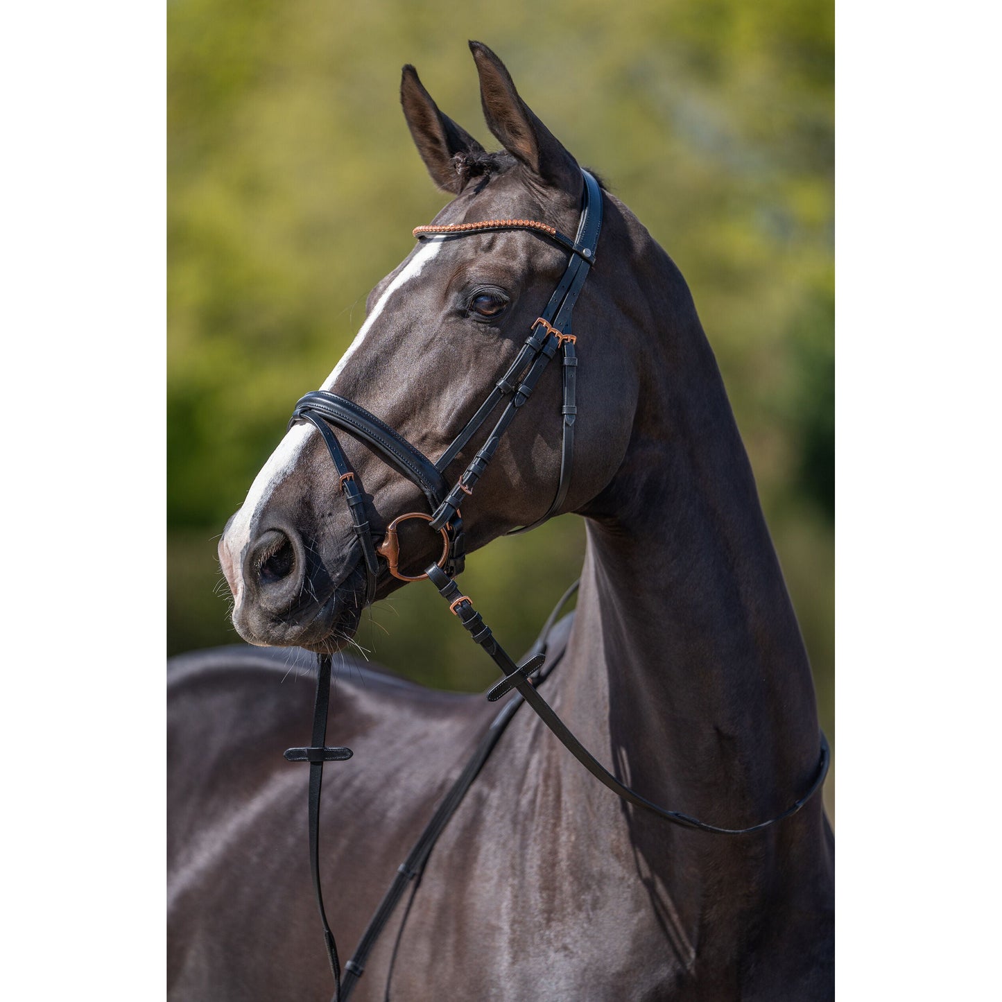 Rose Gold Glamour Bridle