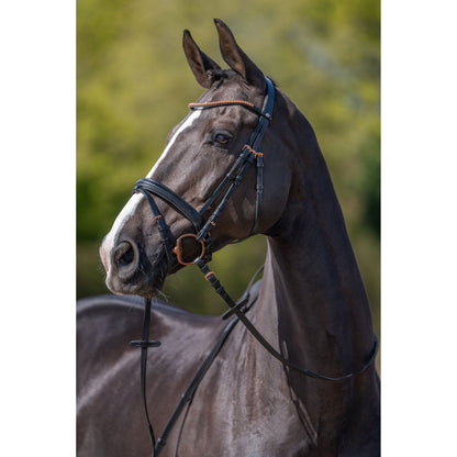 Rose Gold Glamour Bridle