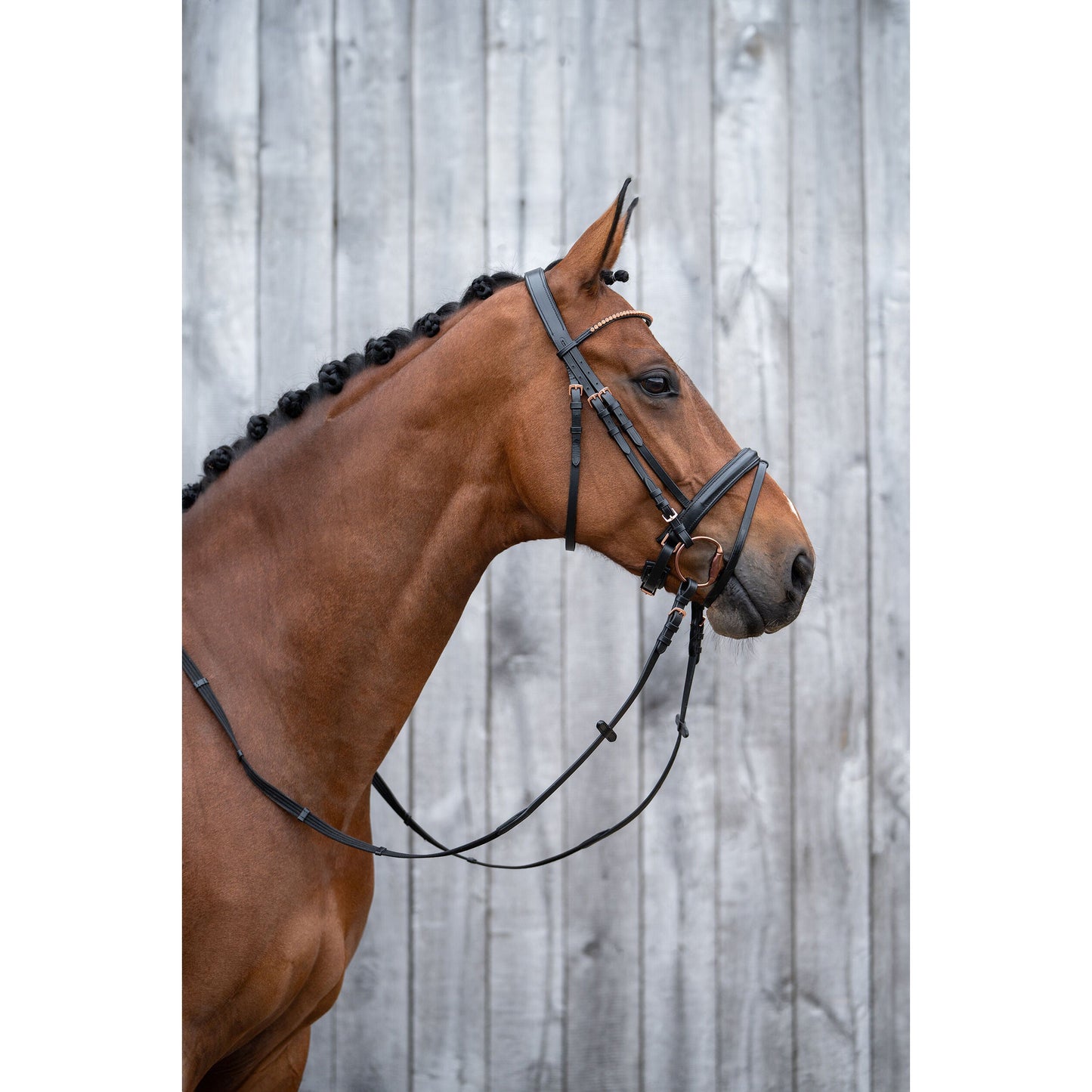 Rose Gold Glamour Bridle