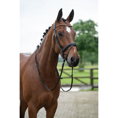 Rose Gold Glamour Bridle