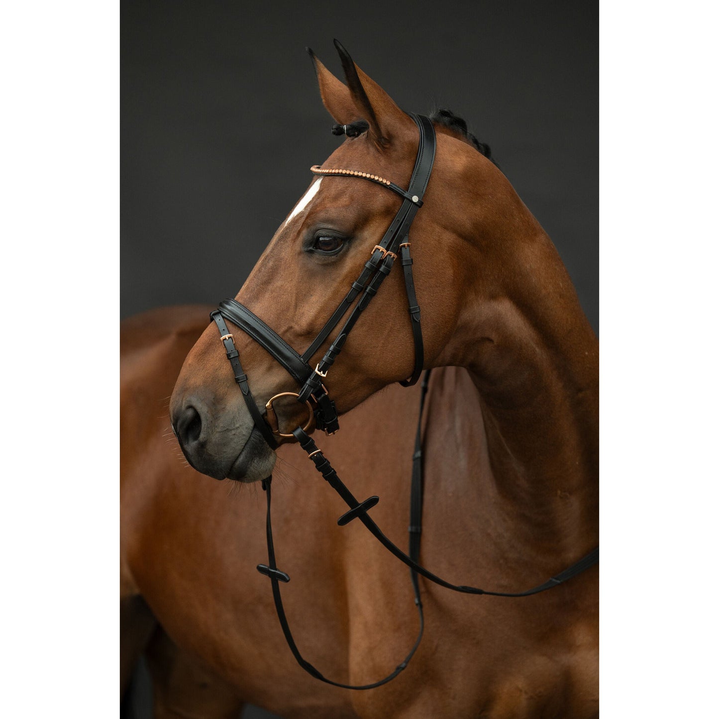 Rose Gold Glamour Bridle