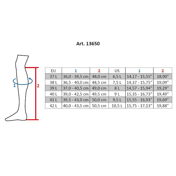 Titanium Riding Boots
