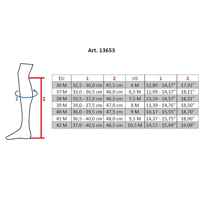 Titanium Riding Boots