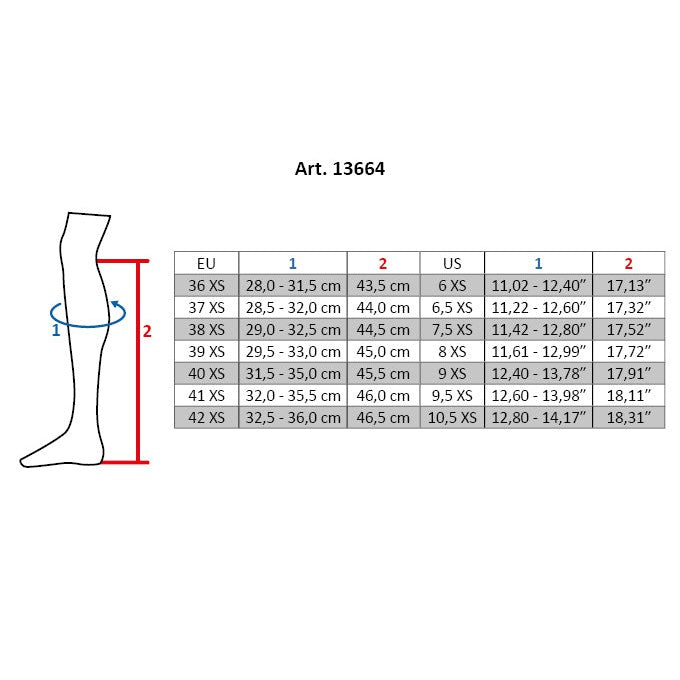 Titanium Riding Boots
