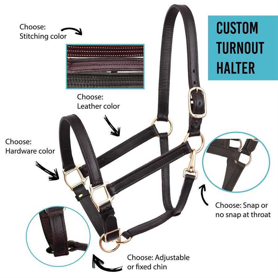 Custom Turnout Halter