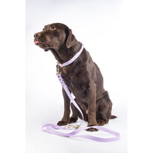 Load image into Gallery viewer, Amitye Dog Training Leash