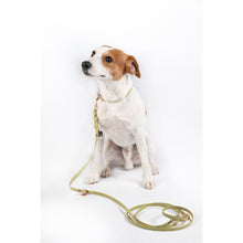 Load image into Gallery viewer, Amitye Dog Training Leash