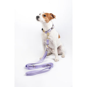 Amitye Nylon Dog Training Leash