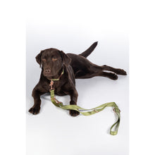 Load image into Gallery viewer, Amitye Nylon Dog Training Leash