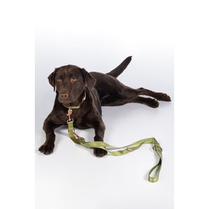 Amitye Nylon Dog Training Leash