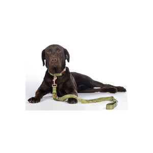 Amitye Nylon Dog Training Leash