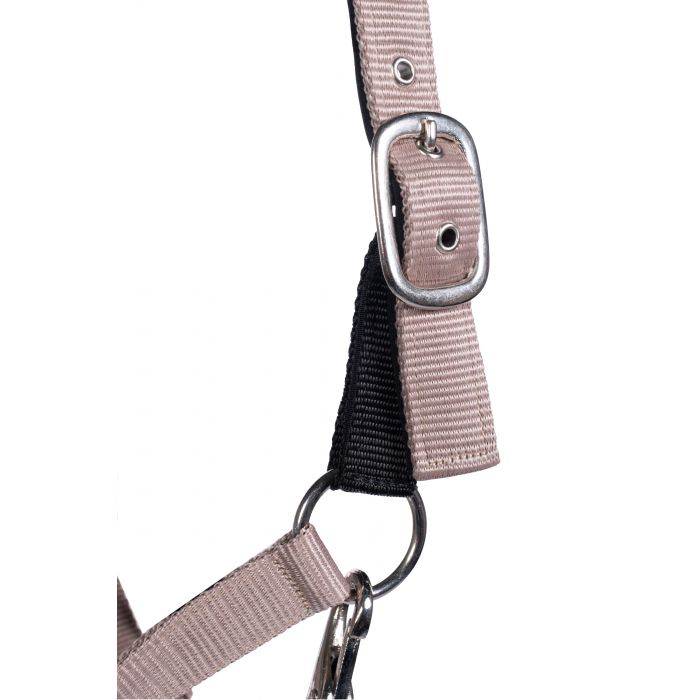 Breakaway Halter