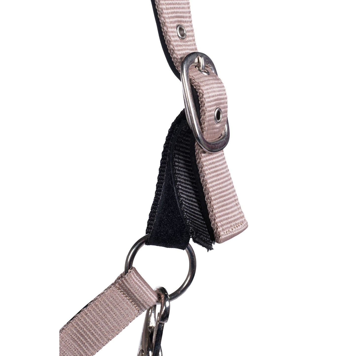 Breakaway Halter