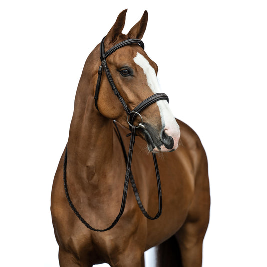 Dark Brown Hunter Bridle