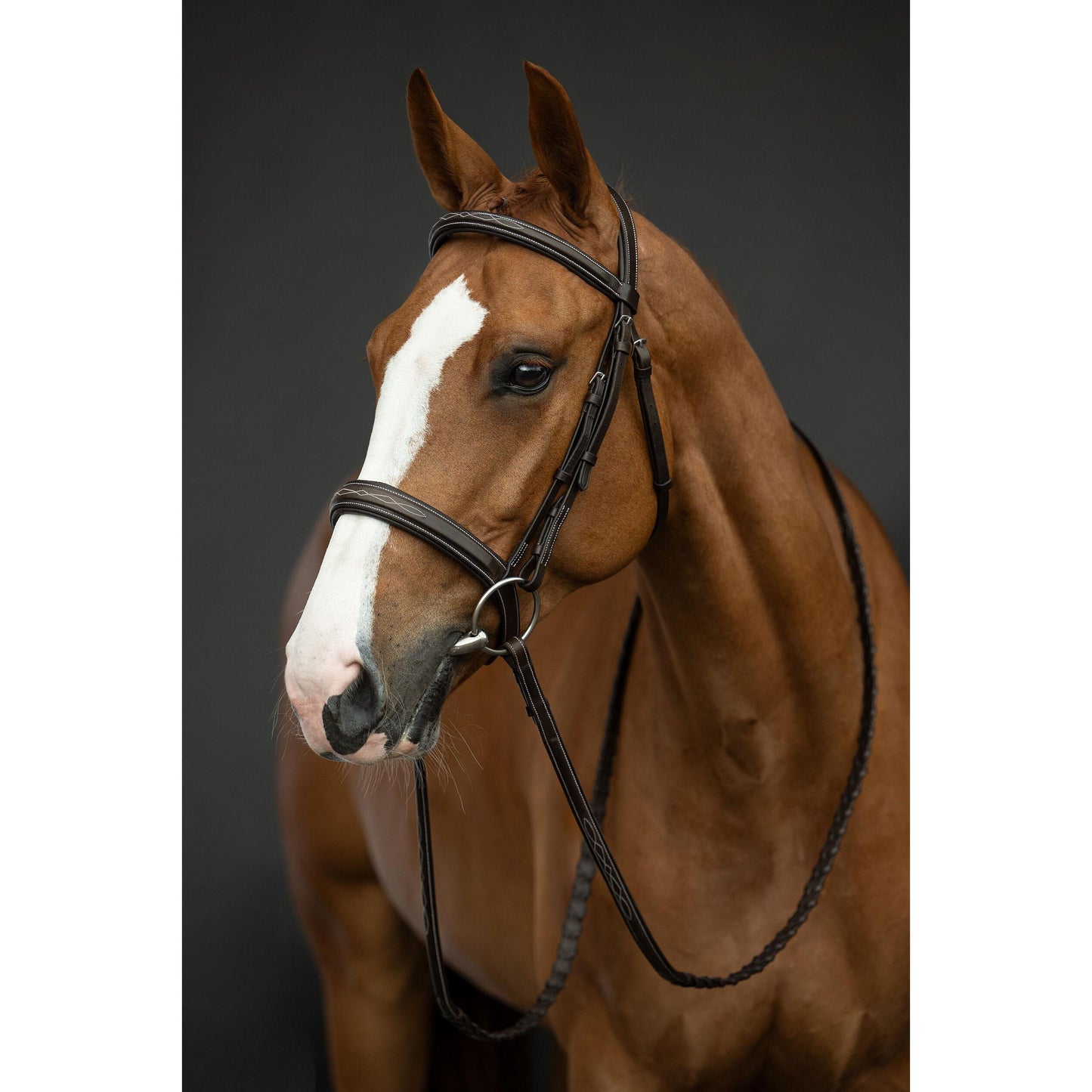 Dark Brown Hunter Bridle