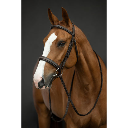 Dark Brown Hunter Bridle