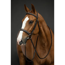 Load image into Gallery viewer, Dark Brown Hunter Bridle