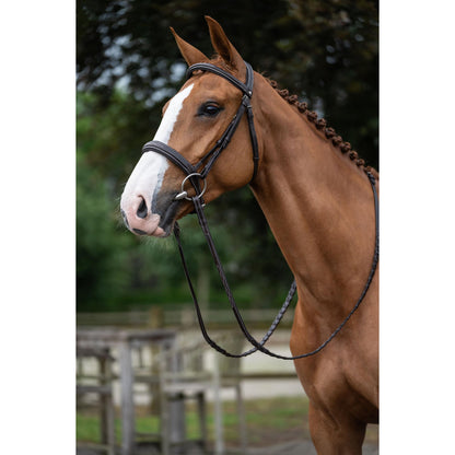 Dark Brown Hunter Bridle