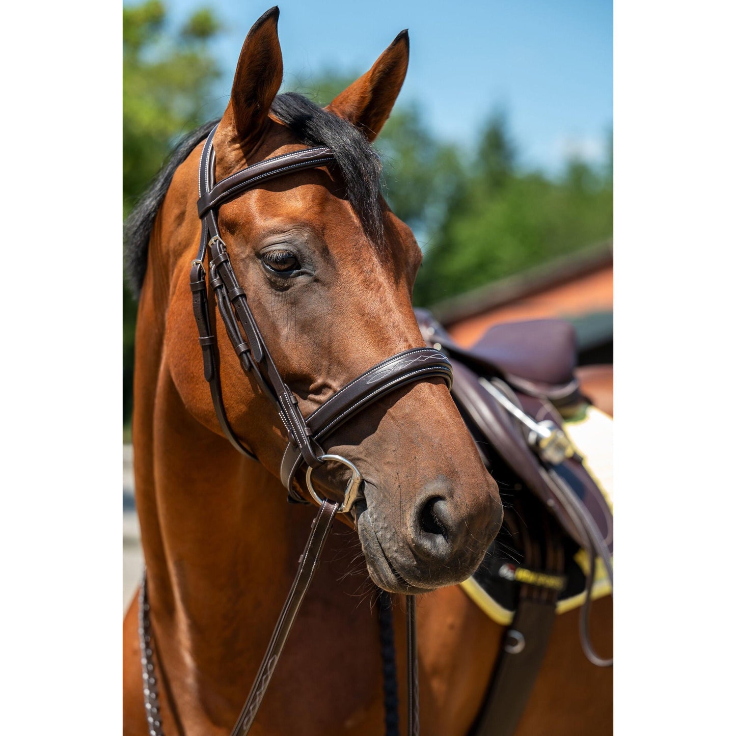 Dark Brown Hunter Bridle