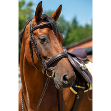 Load image into Gallery viewer, Dark Brown Hunter Bridle