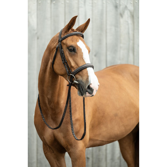 Dark Brown Hunter Bridle