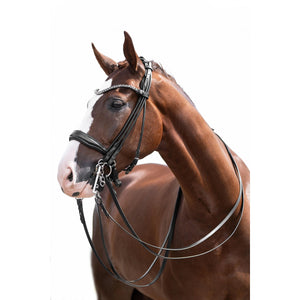 Kate Double Bridle