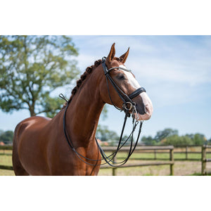 Kate Double Bridle