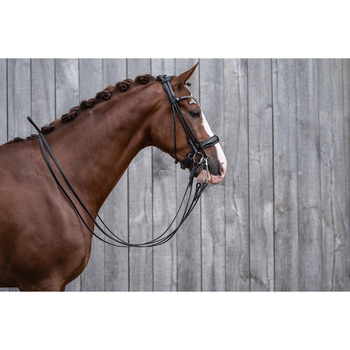 Kate Double Bridle