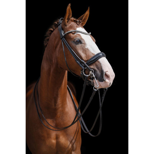 Kate Double Bridle