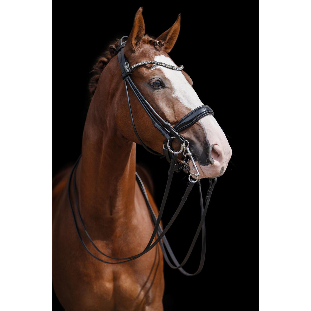 Kate Double Bridle
