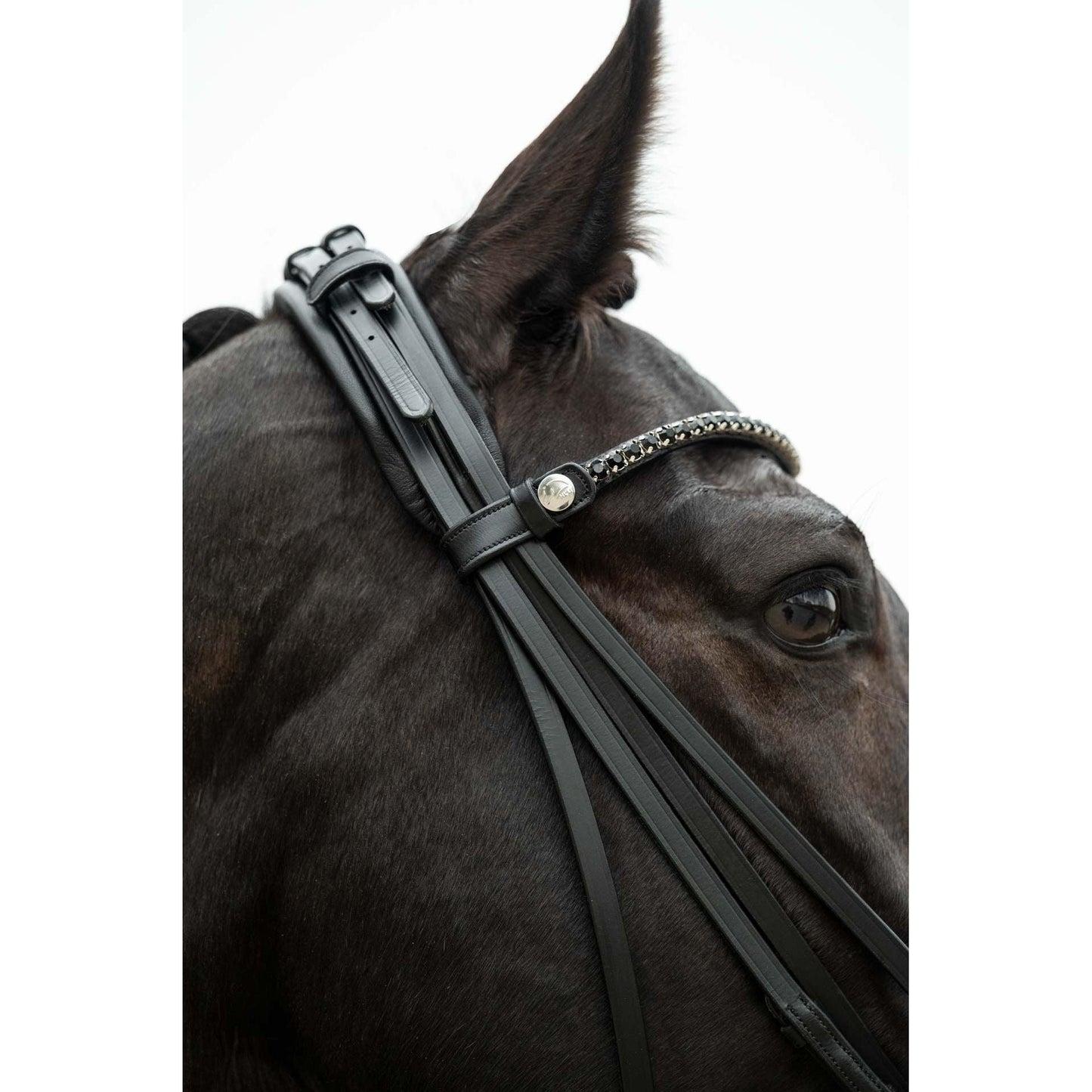 Grace Double Bridle