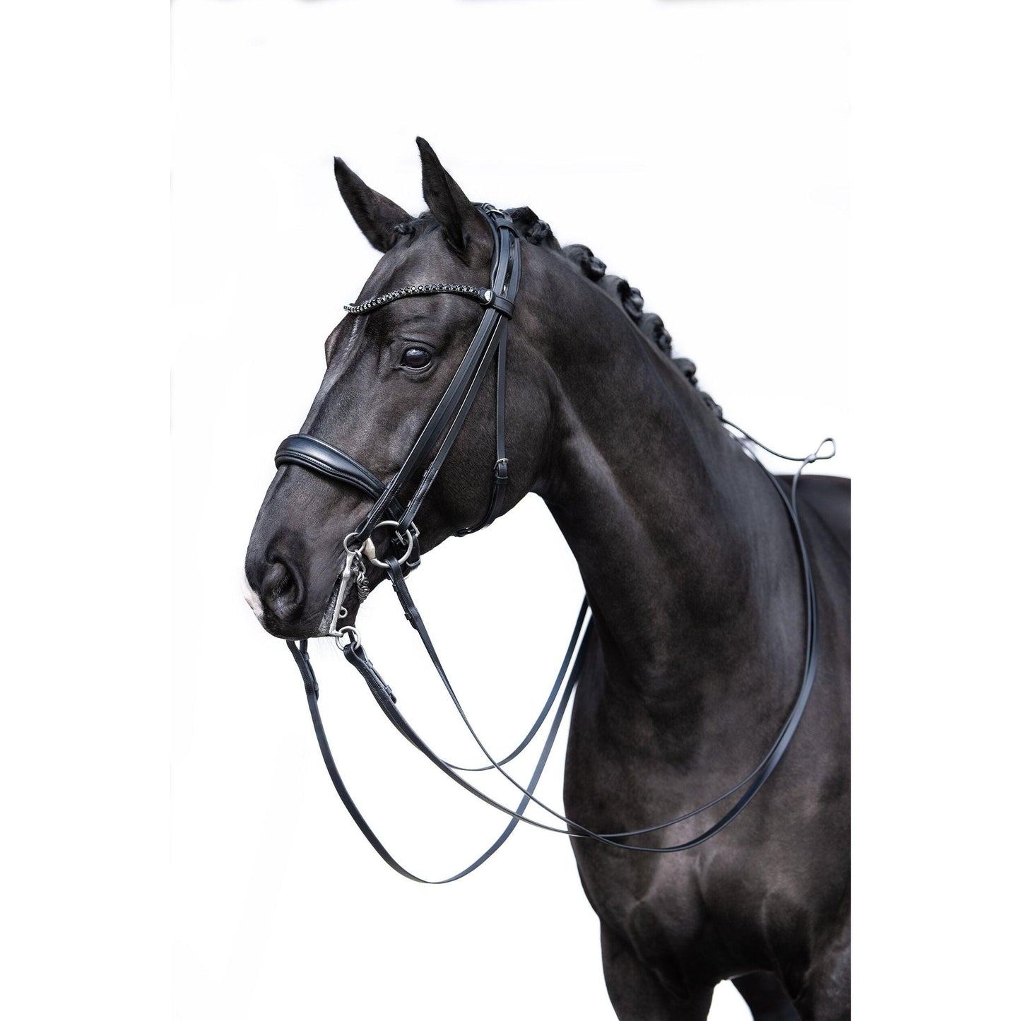 Grace Double Bridle