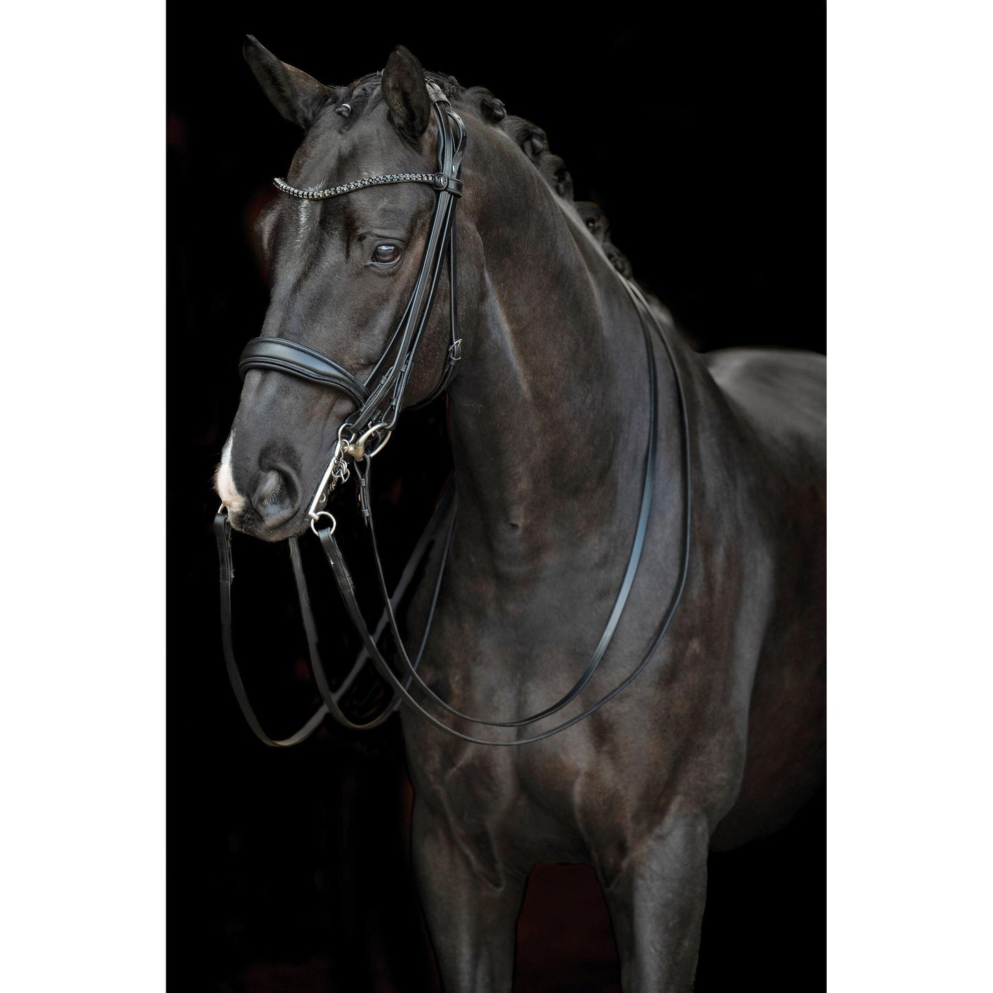 Grace Double Bridle