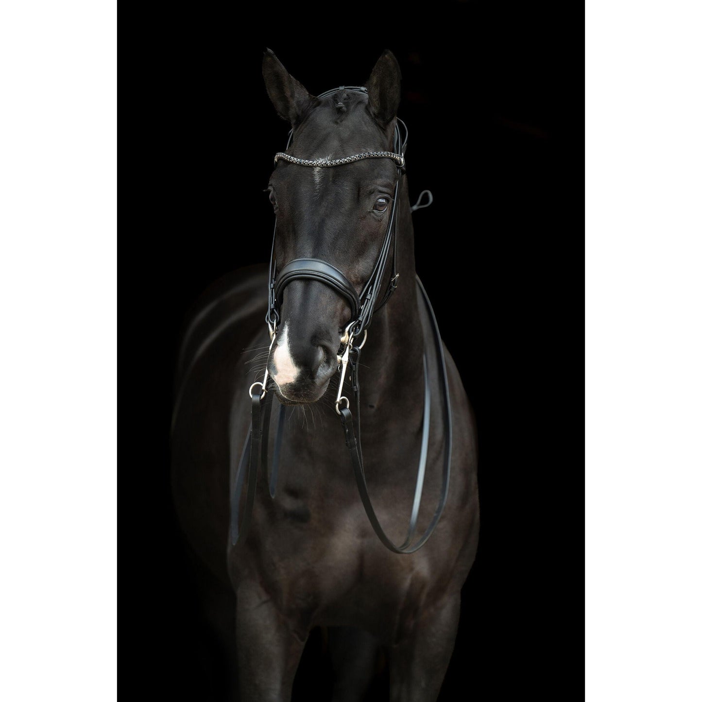 Grace Double Bridle