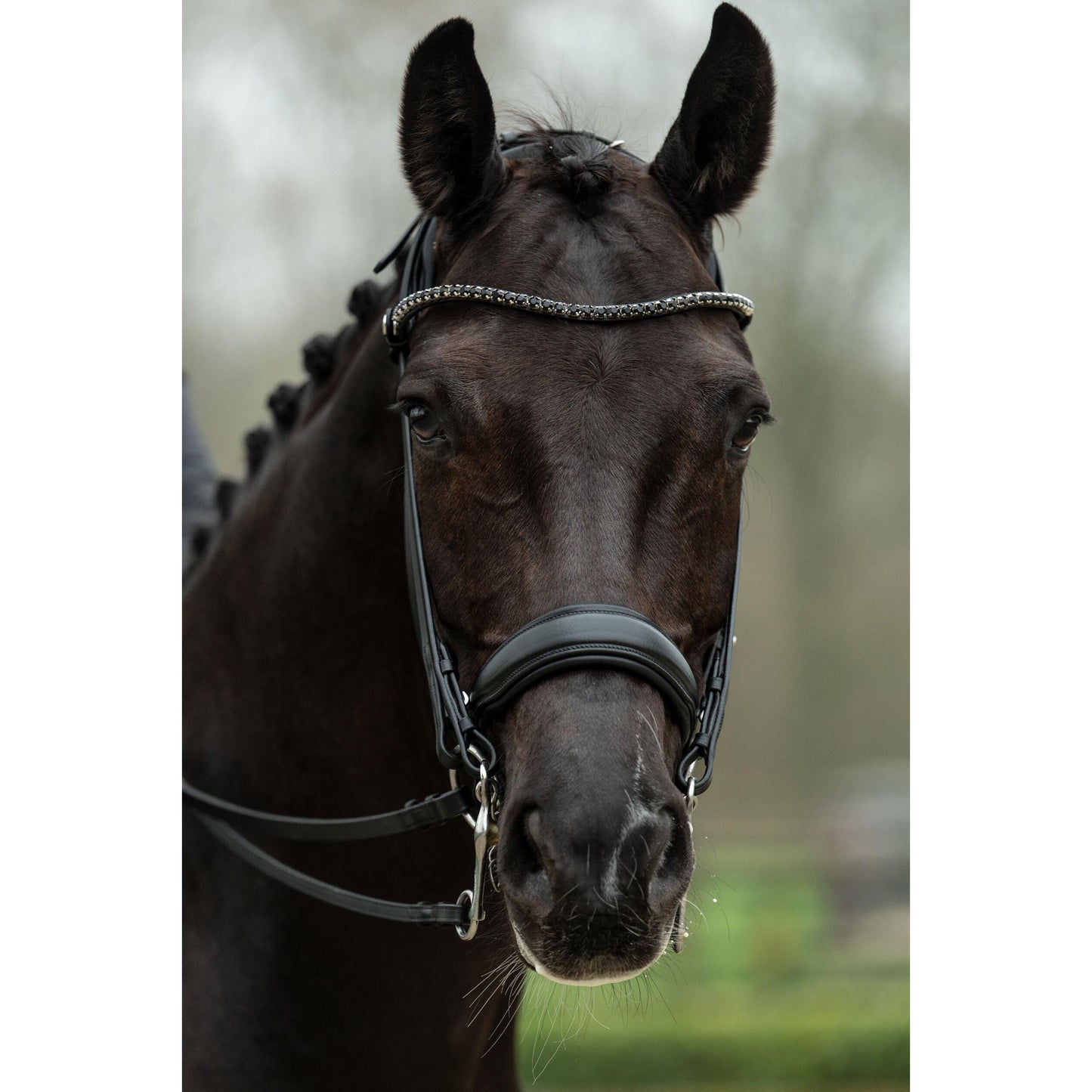 Grace Double Bridle