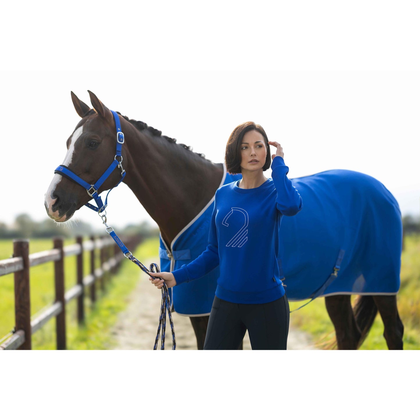 Amalfi Horse Head Sweater