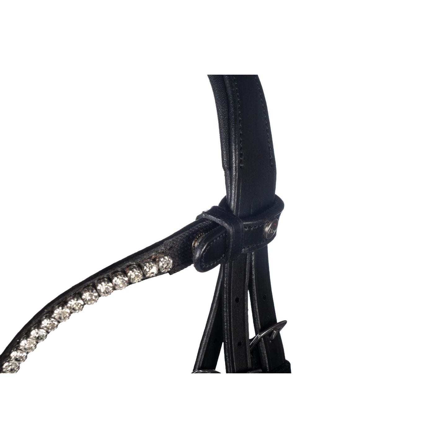 Nicole Bridle with Drop Noseband