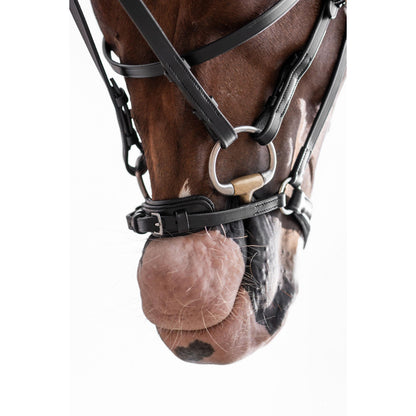 Nicole Bridle with Drop Noseband