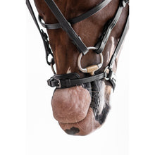 Load image into Gallery viewer, Nicole Bridle with Drop Noseband