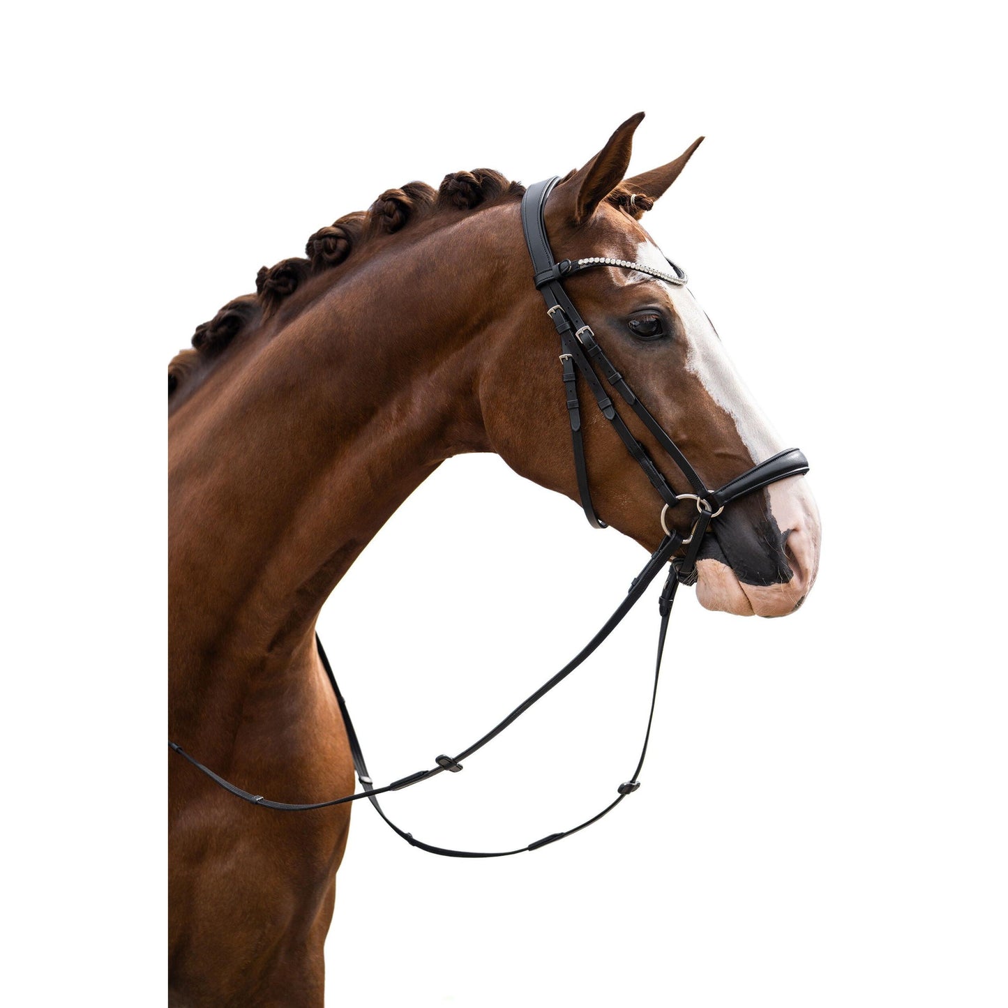 Nicole Bridle with Drop Noseband